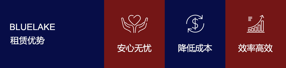 布魯雷克優(yōu)勢